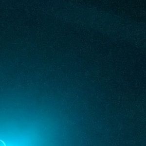 Meet your Posher, Abbey